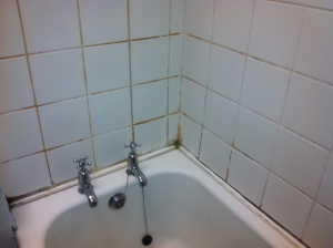 Re-grouting tiles in Edinburgh