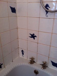 Black mouldy silicone before replacement Stirling