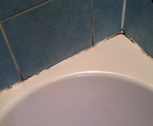 Stirling Silicone Renewal (Before)
